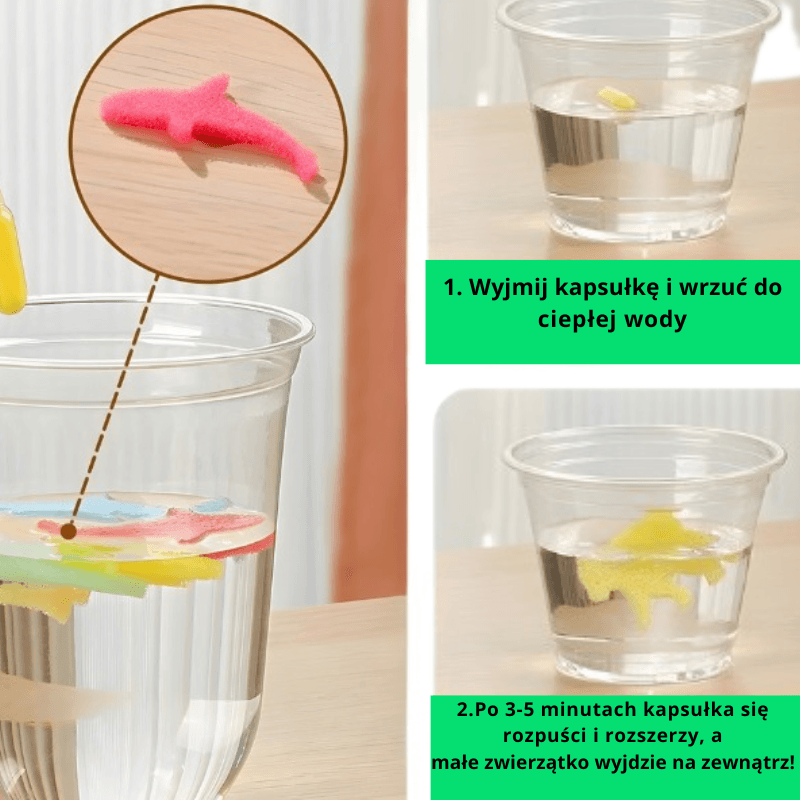 MAGICZNE KAPSUŁKI ZWIERZĄTKA ROSNĄCE W WODZIE(4 Zestawy w 1 Paczce)